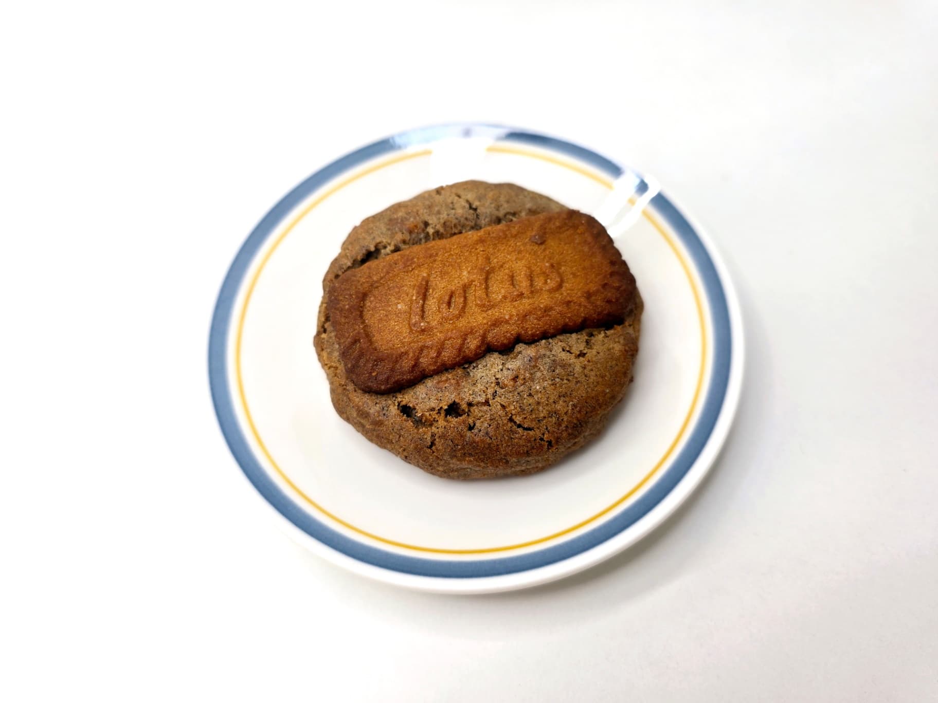 카페인에 취한 로투스쿠키