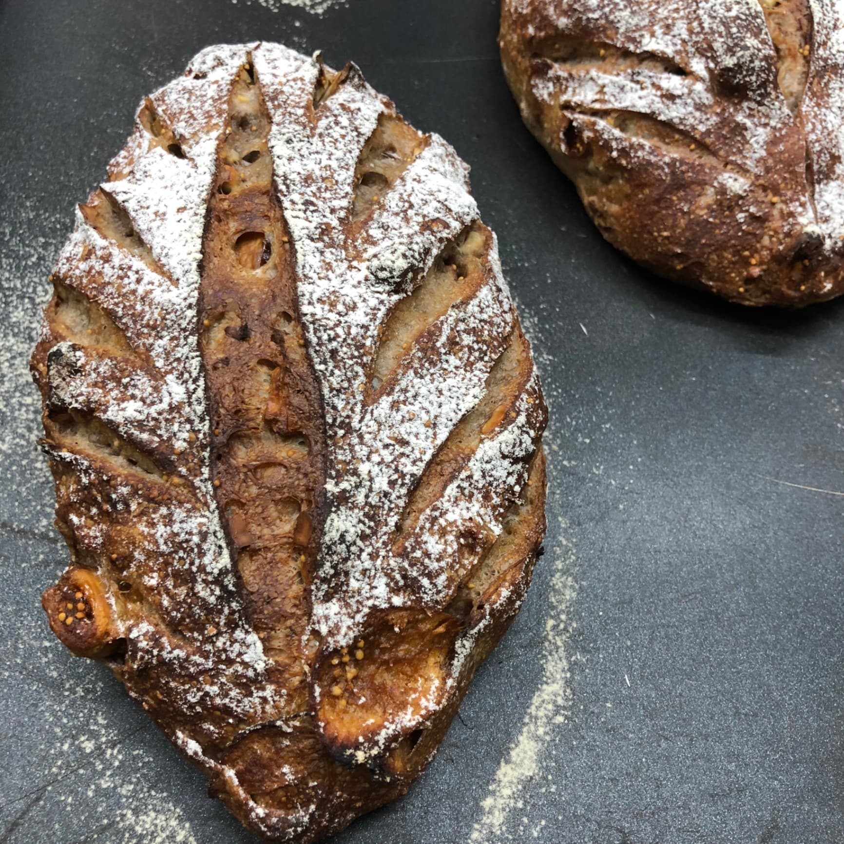 호밀&통밀 무화과 호두 깜빠뉴