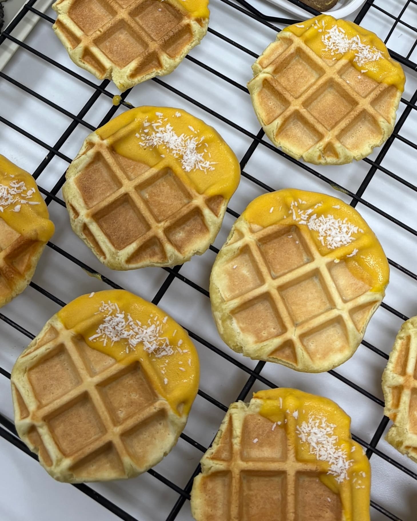 댕댕마을) 와플 1p