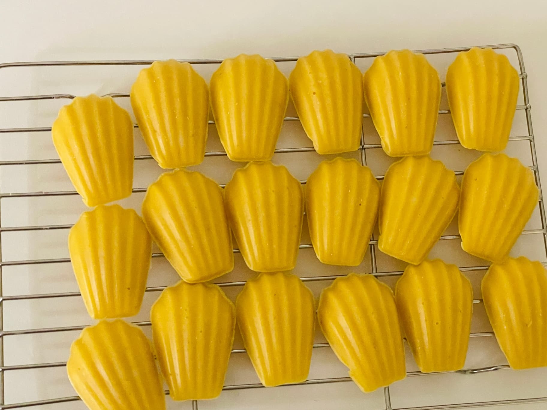 댕댕마을) 황태 마들렌 4p