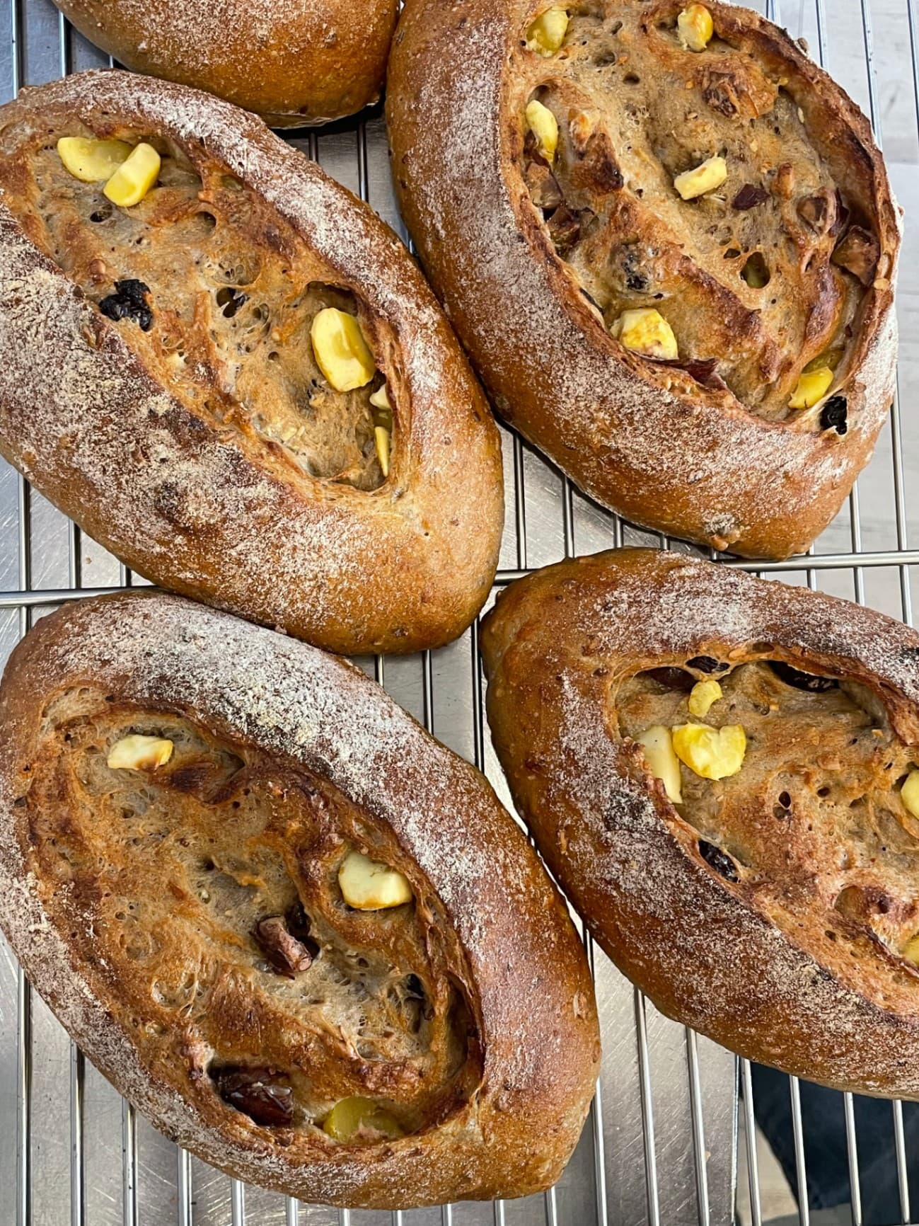 통밀 밤 깜빠뉴