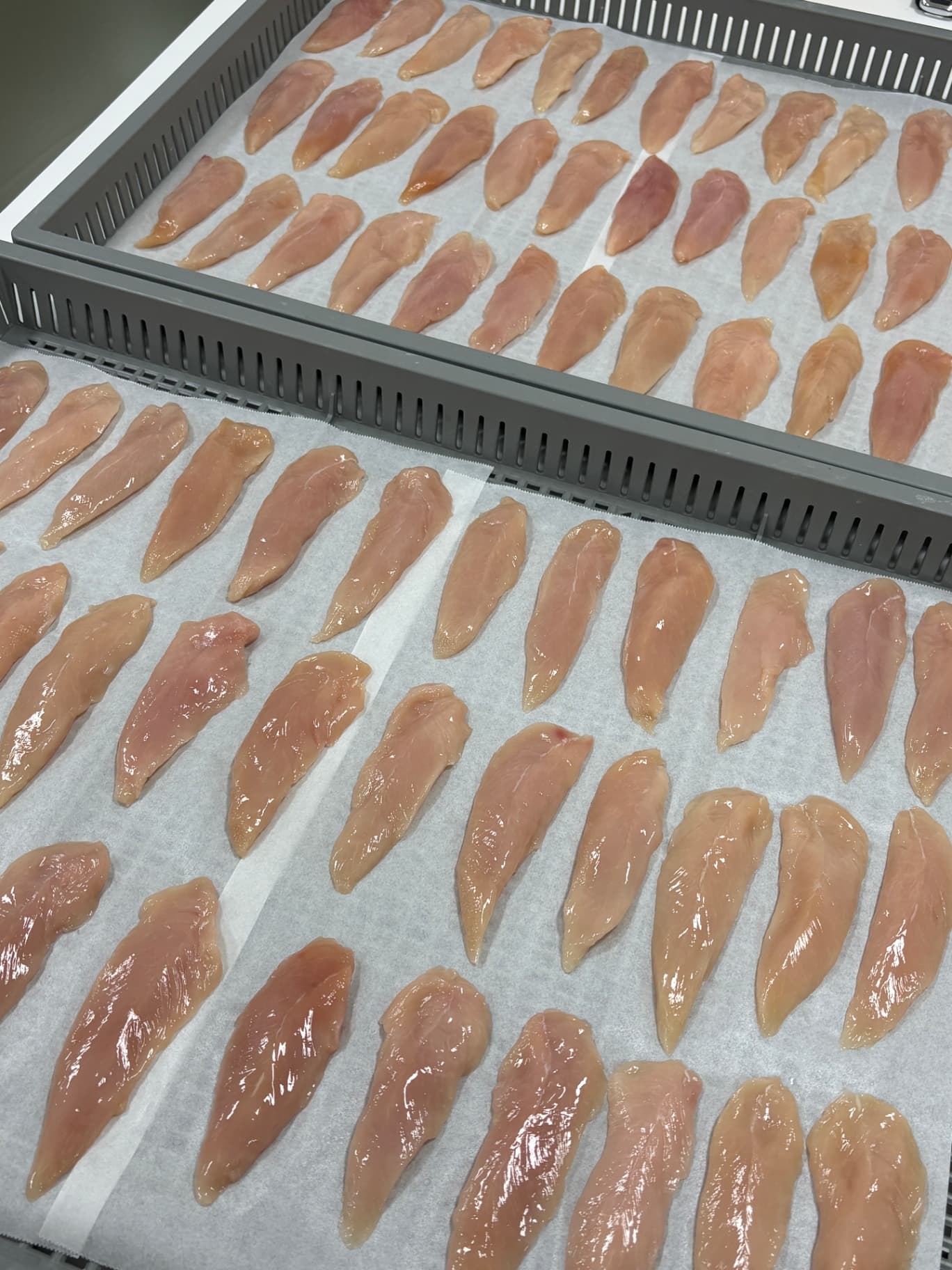 댕댕마을) 치킨져키 50g