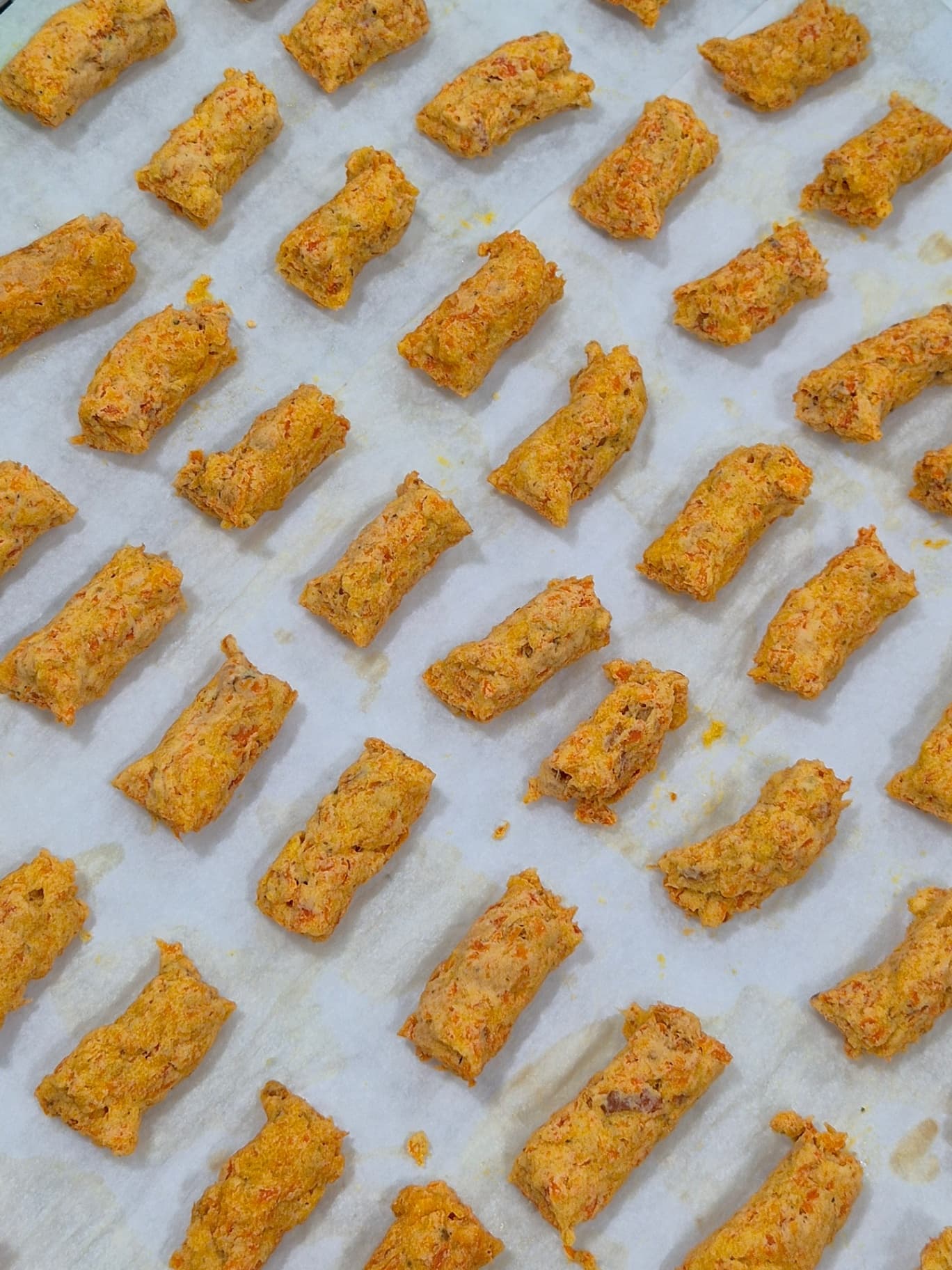 밥멍냥 연어당근트릿