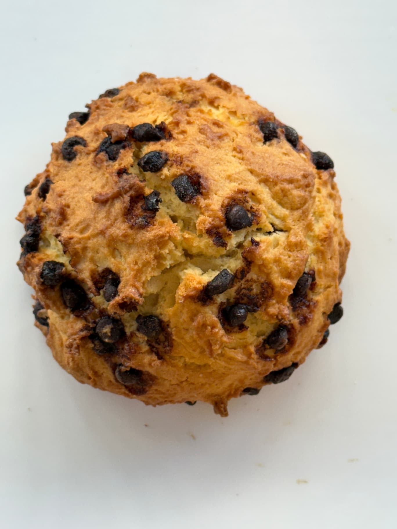 누텔라 초코 스콘