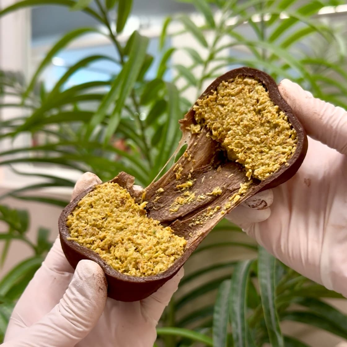 100g 대왕 두바이 쫀득볼