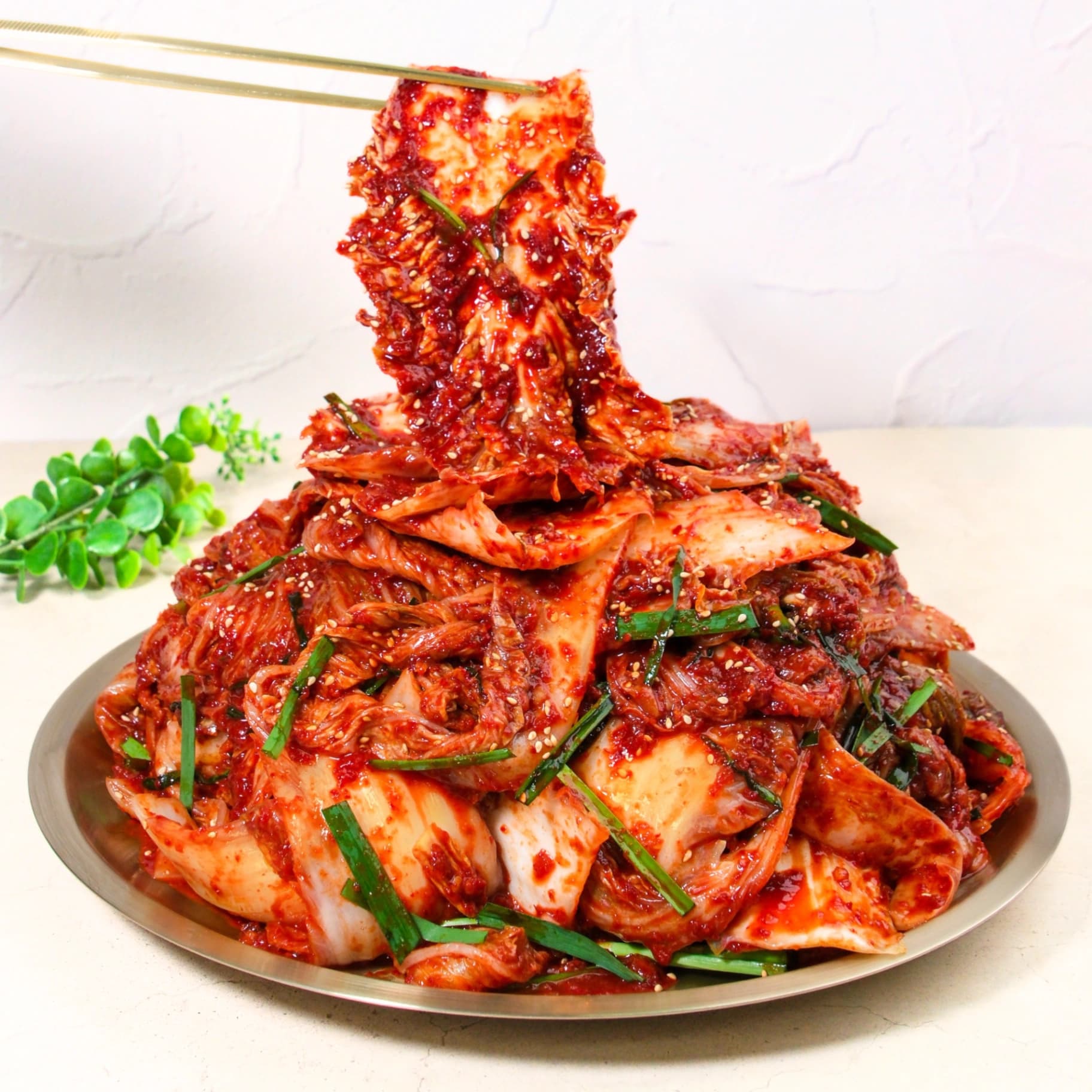 오마이찬 배추겉절이김치 - 당일제조 신선한 전라도식 고랭지 100% 국내산 배추로 만든 전통의 맛