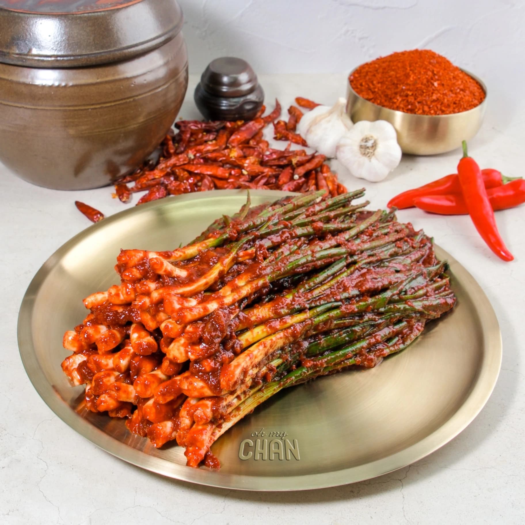 오마이찬 매운 실비파김치 -  전라도식 당일제조 불맛 가득 파김치